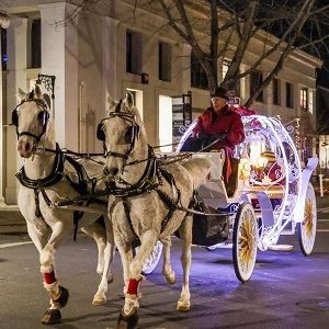 Carriage Rides 
