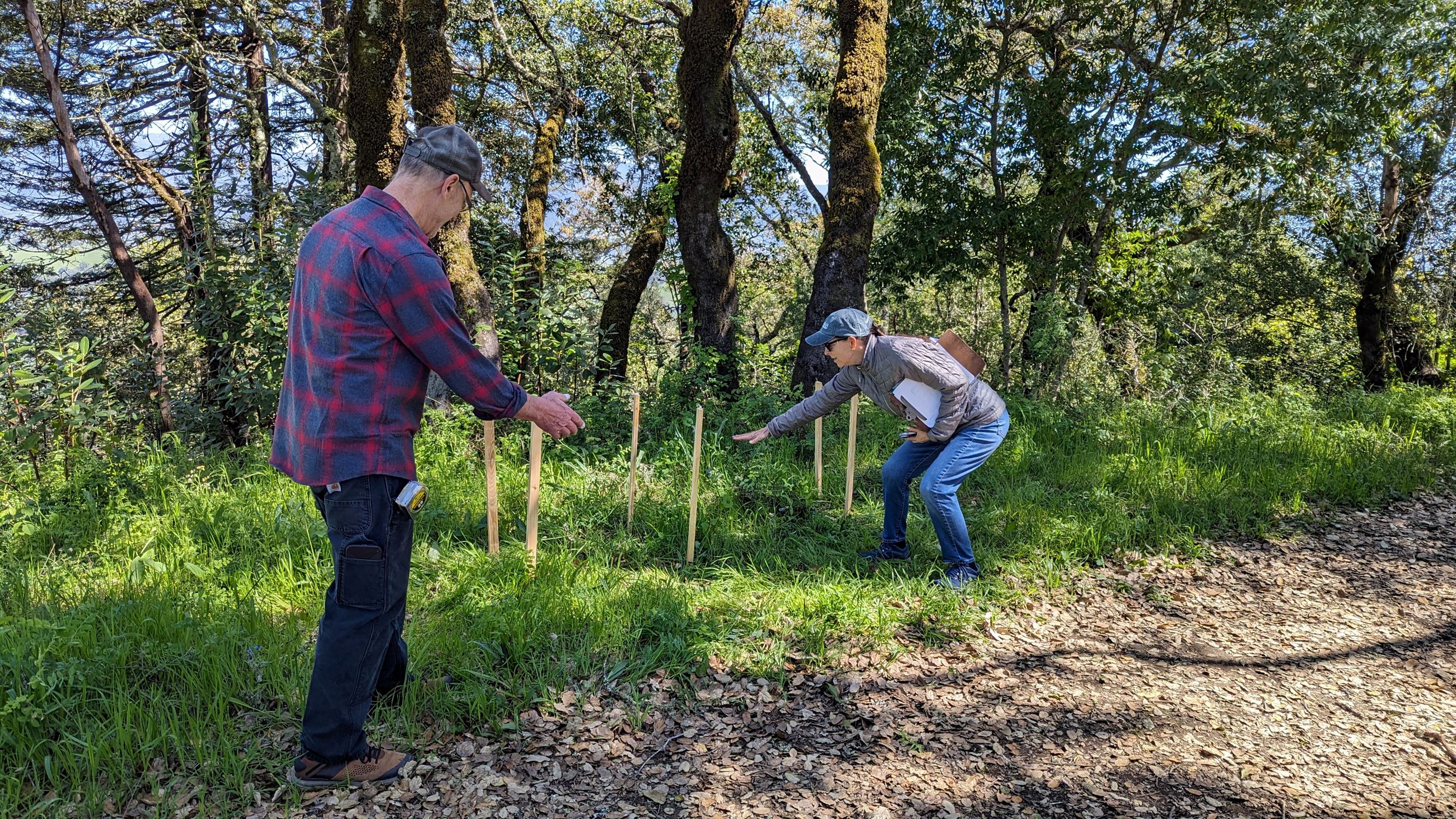 PXL_20240402_184646046