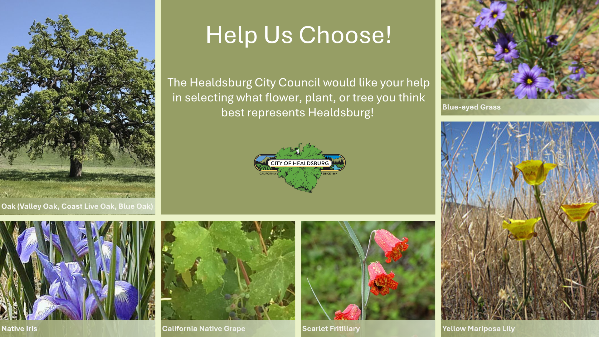 City Flower Plant Tree Graphic - Website